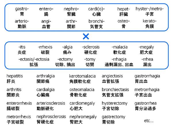 気ままに創薬化学 サイト ツール 本